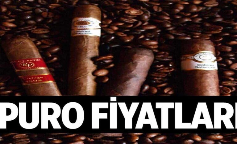 Puro Fiyatlari 1024x622Xxm.jpg