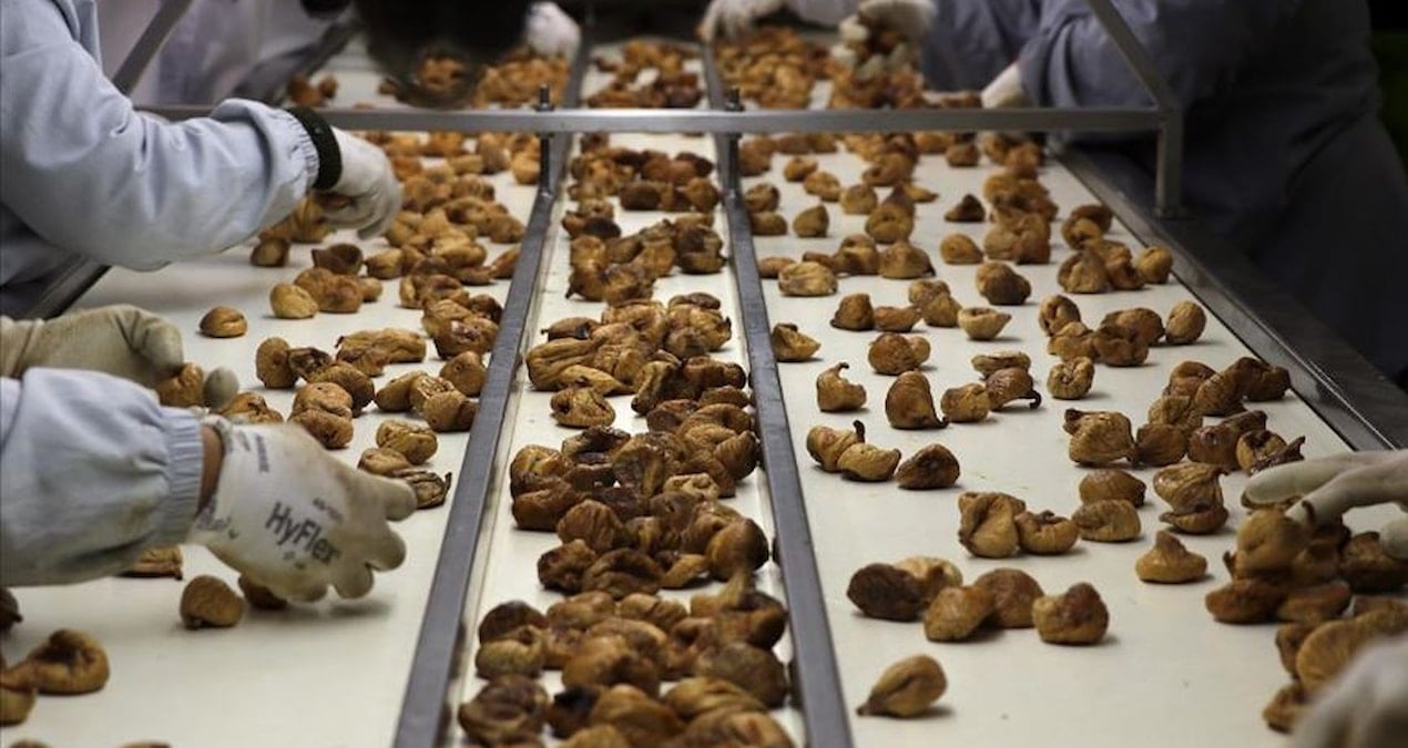 turkiyeden dunyaya ihracat cikisi 97 ulke aliyor 369 milyon 759 bin dolar kazandirdi lzNETWlC.jpg